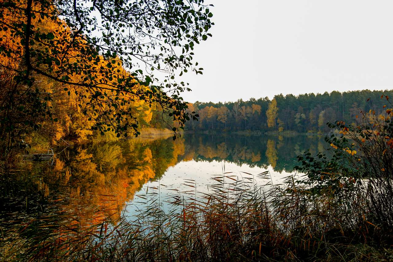 Helles Ferienhaus mit großzügigem Garten – Idyllische Lage am Bernsteinsee