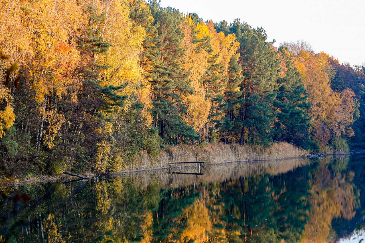 Helles Ferienhaus mit großzügigem Garten – Idyllische Lage am Bernsteinsee