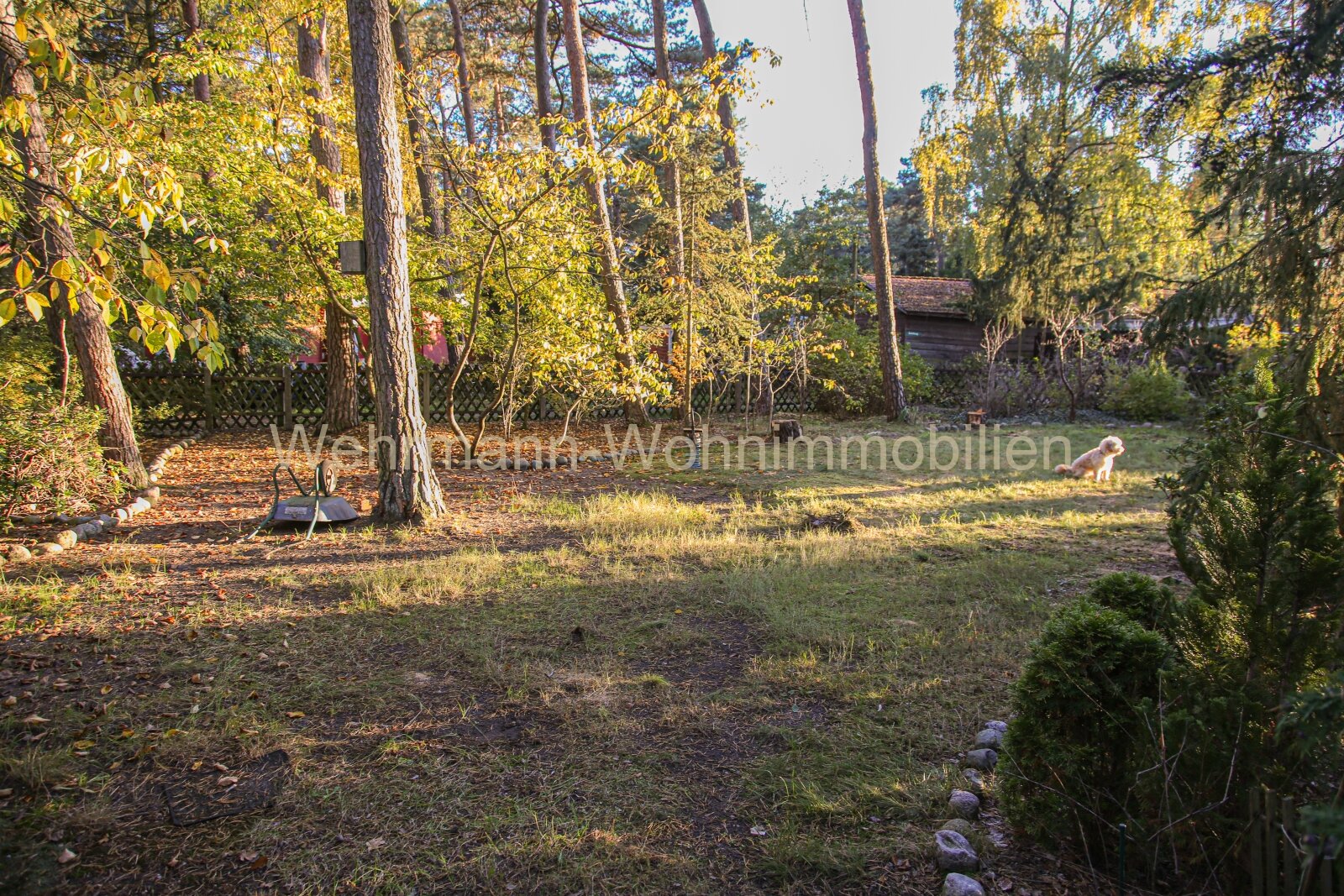 Tolles Sommerhaus mit großem Garten – Idyllische Lage in direkter Seenähe
