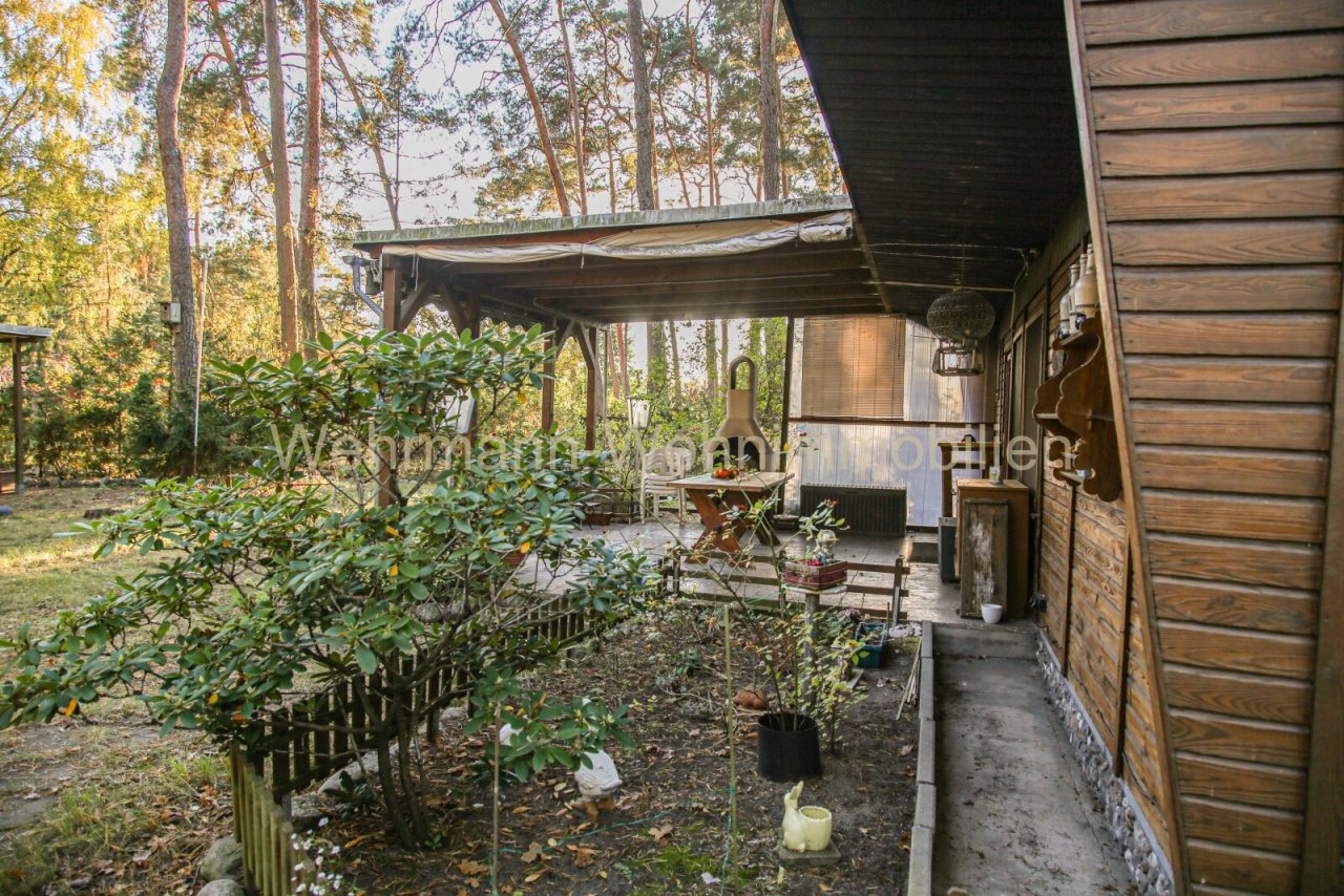 Blick auf Rabatten und Terrasse Blick auf Rabatten und Terrasse